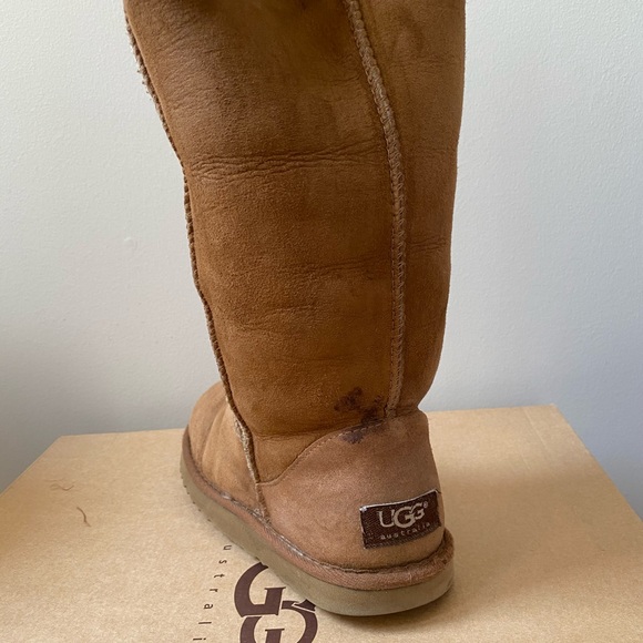 Tall UGGS in Chestnut - Picture 5 of 14
